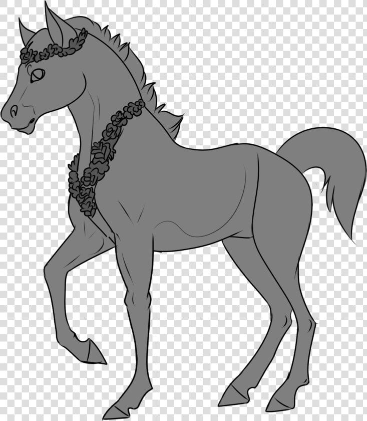 Foal  HD Png DownloadTransparent PNG
