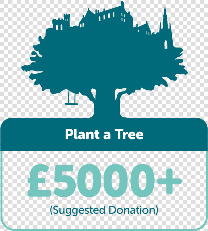Plant A Tree £5000   Tree Time  HD Png DownloadTransparent PNG