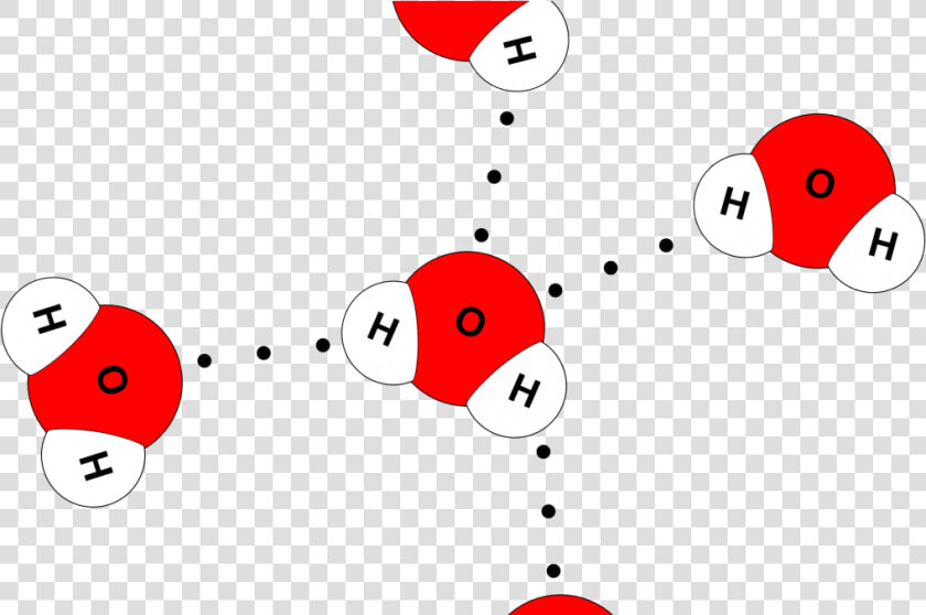 Water Molecule 4 Hydrogen Bonds   Png Download   Water Molecule 4 Hydrogen Bonds  Transparent PngTransparent PNG