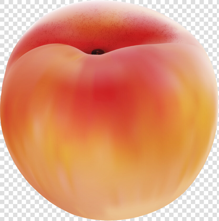 Peach Png Clip Art Image   Nectarines  Transparent PngTransparent PNG