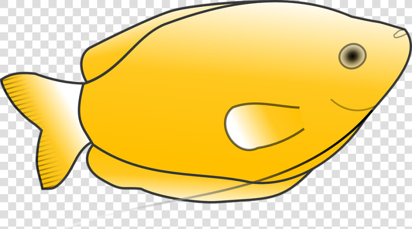 Yellow  Fish  Scales  Animal  Tail  Species  Fins   Yellow Fish Clip Art  HD Png DownloadTransparent PNG