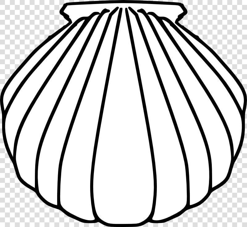 Transparent Catholic Cross Png   Baptismal Shell Clip Art  Png DownloadTransparent PNG