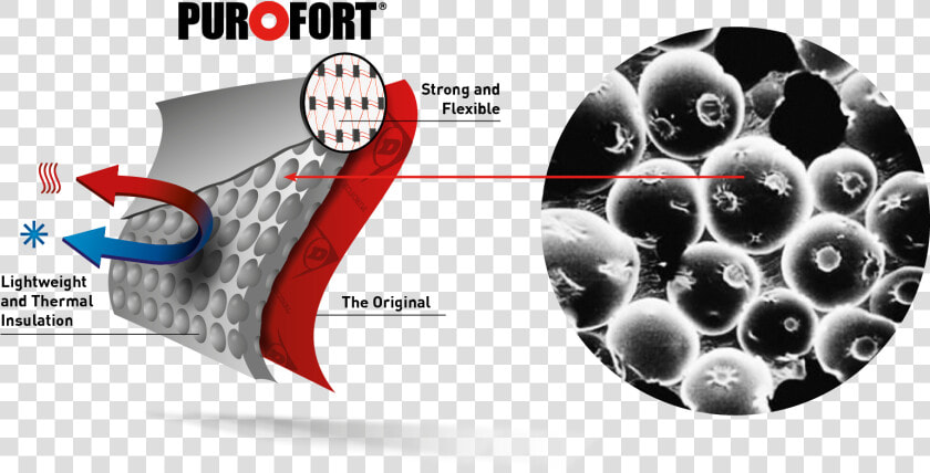Purofort Technology  HD Png DownloadTransparent PNG