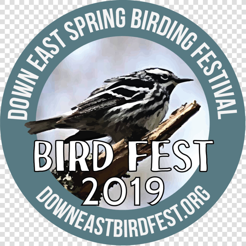 Bird Fest Logo 2019   House Sparrow  HD Png DownloadTransparent PNG