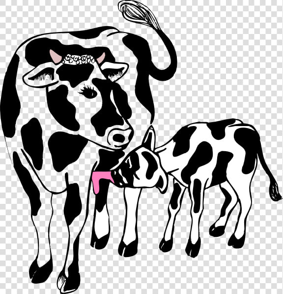 Cow And Calf Vector For You Clipart   Cow And Calf Clipart  HD Png DownloadTransparent PNG