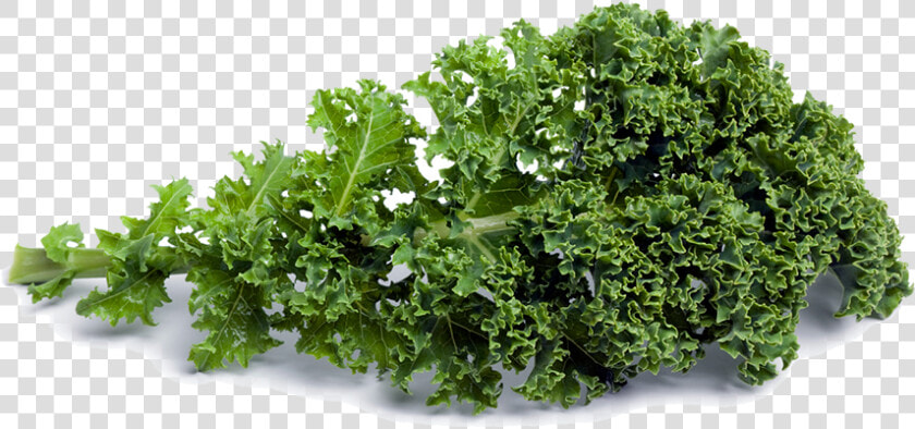 Kale Png Picture   Fruits Vegetables Whole Grains Nuts Legumes  Transparent PngTransparent PNG