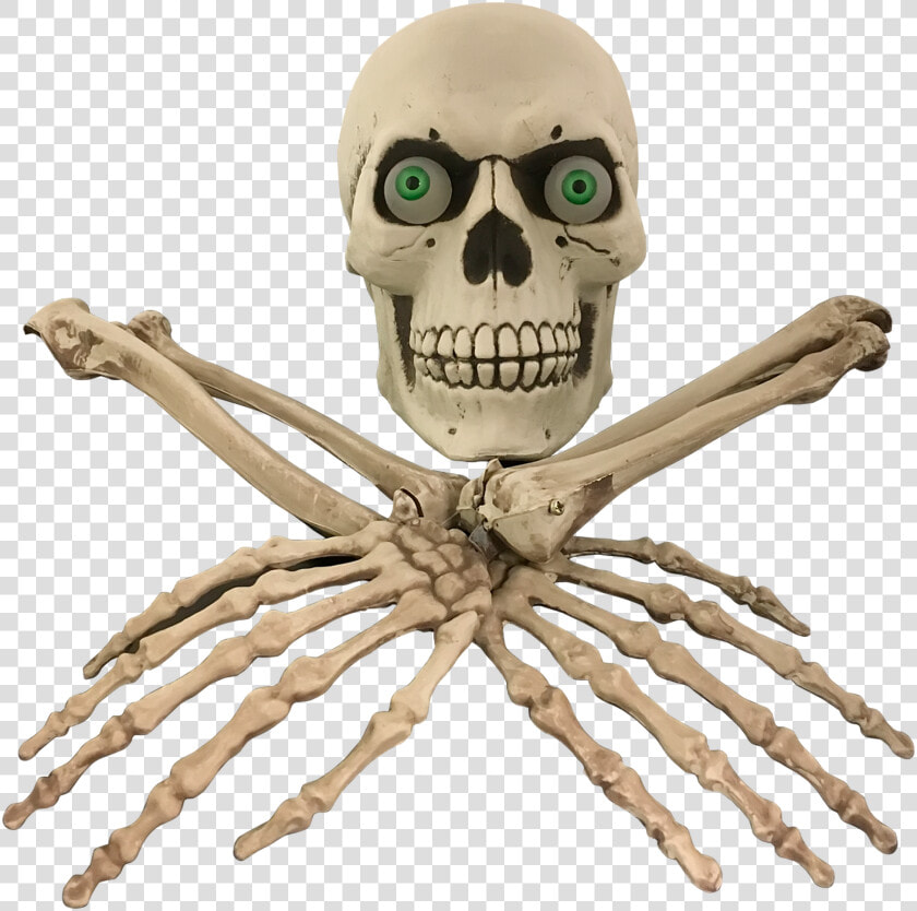 I bone Escape Room Prop  HD Png DownloadTransparent PNG