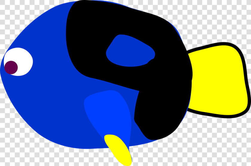 Blue Tang  Find  Fish  Found   Blue Tang Clip Art  HD Png DownloadTransparent PNG