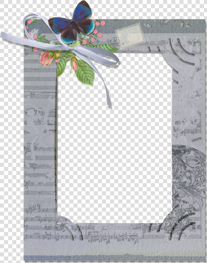 Grey Transparent Png Frame With Butterfly   Grey Photo Frame Png  Png DownloadTransparent PNG