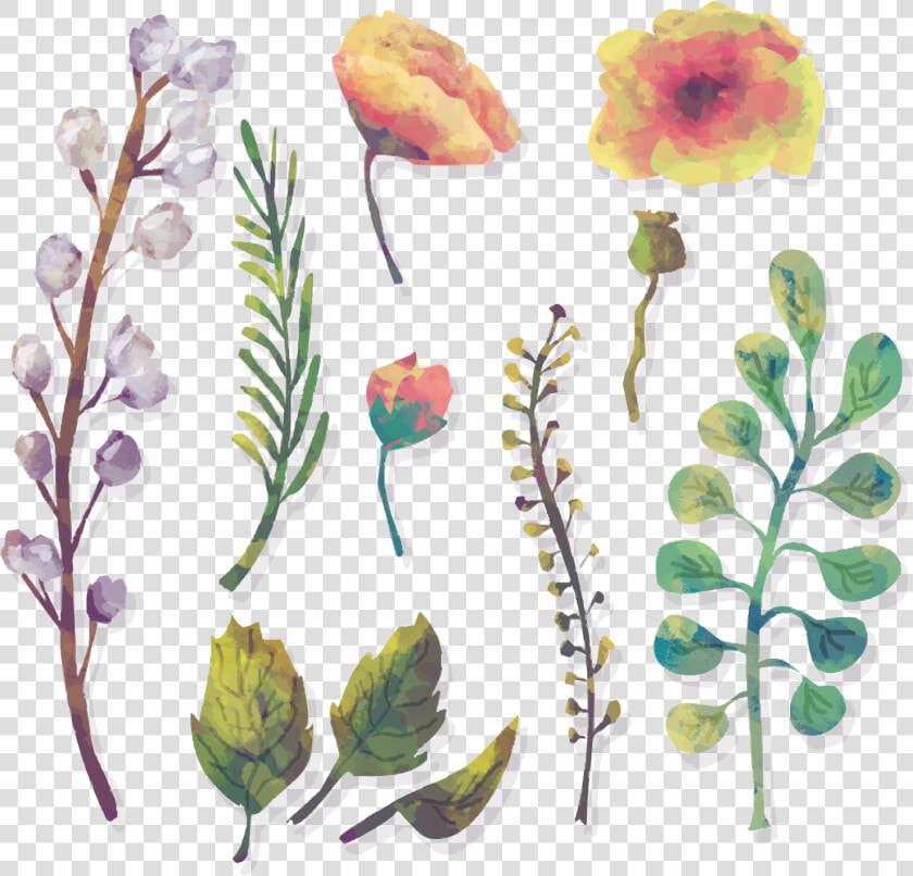 Vector Free Foliage Vector   Watercolor Floral Water Png  Transparent PngTransparent PNG