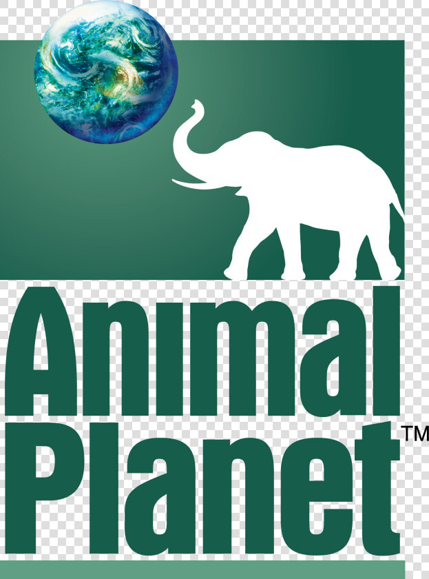 Dream Logos Wiki   Logo De Animal Planet  HD Png DownloadTransparent PNG