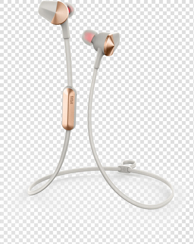 Still Life Photography  HD Png DownloadTransparent PNG