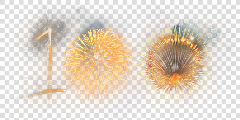 100 Year Celebration Artwork  HD Png DownloadTransparent PNG