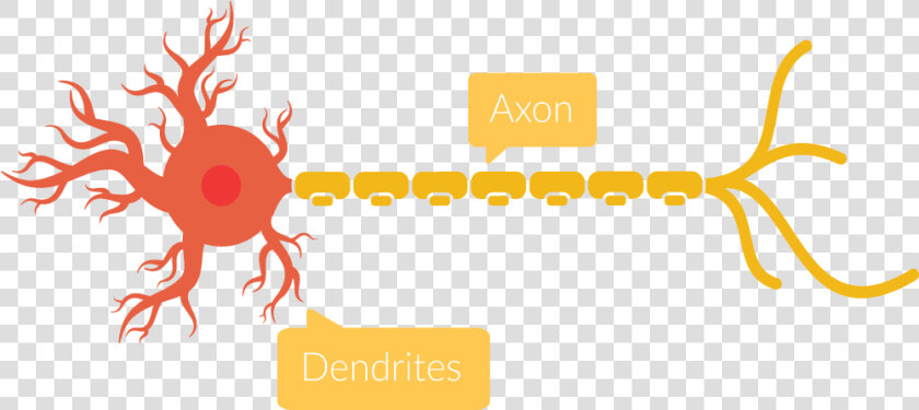 Transparent Neuron Png   Graphic Design  Png DownloadTransparent PNG
