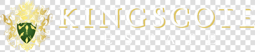 Dance Classics Pop Edition  HD Png DownloadTransparent PNG