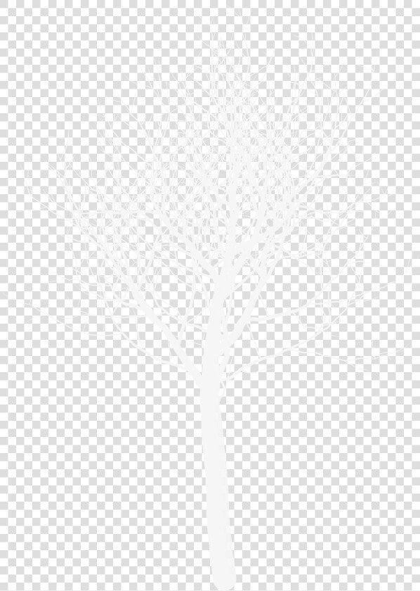 Darkness  HD Png DownloadTransparent PNG