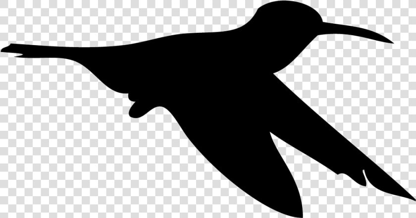 Allen S Hummingbird Overview  All About Birds  Cornell   Broad Tailed Hummingbird Silhouette  HD Png DownloadTransparent PNG