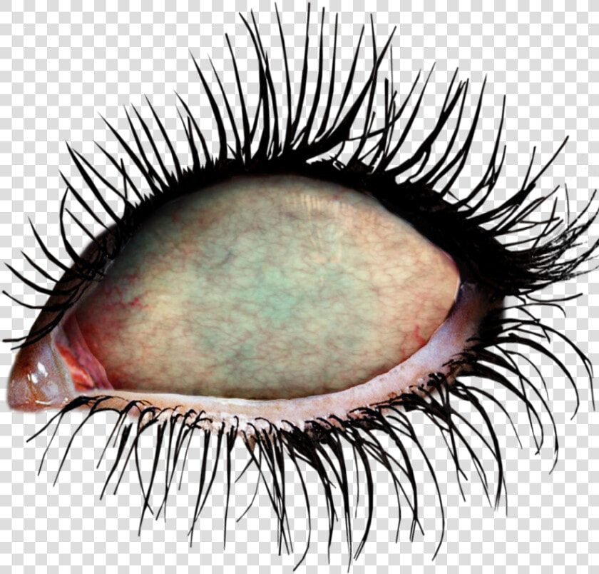  ftestickers  eye  eyes  zombie  zombieeyes  undead   Zombie Eyes Transparent  HD Png DownloadTransparent PNG