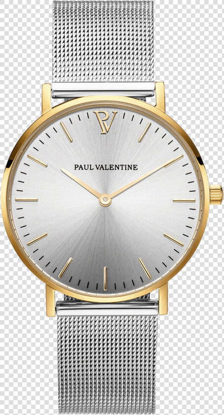 Paul Valentine Gold Silver Watches  HD Png DownloadTransparent PNG