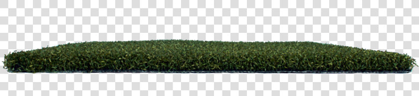Hedge  HD Png DownloadTransparent PNG