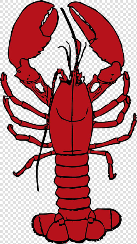Cartoon  Ocean  Lobster  Crab  Sea  Crustaceans  Hermit  HD Png DownloadTransparent PNG