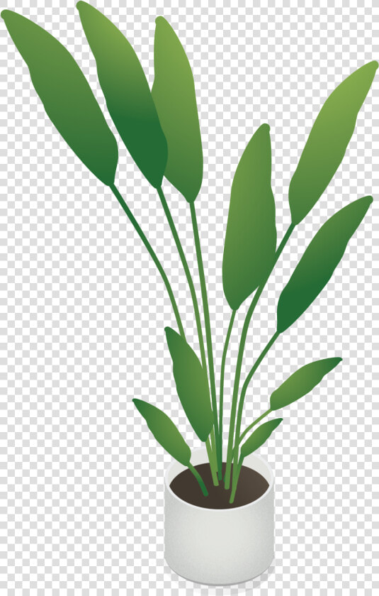 Isometric Plant Png  Transparent PngTransparent PNG