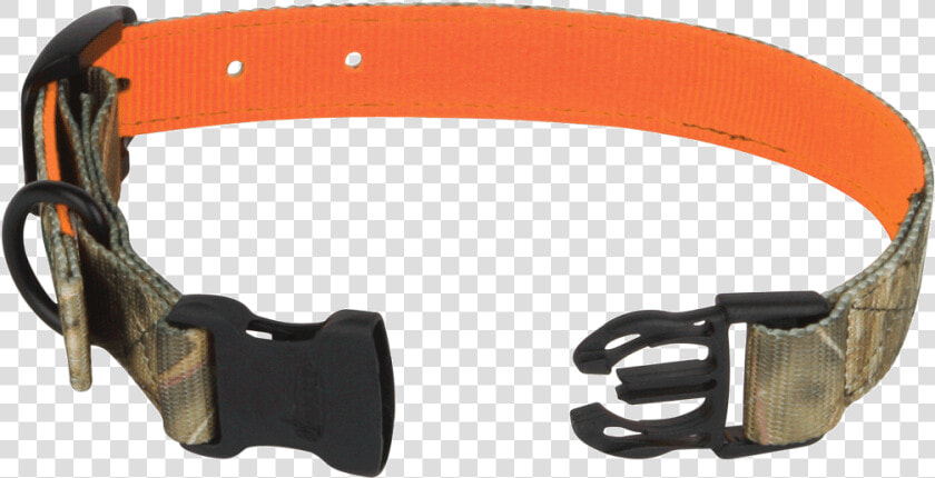 01869 Reversible Dog Collar Studio  HD Png DownloadTransparent PNG