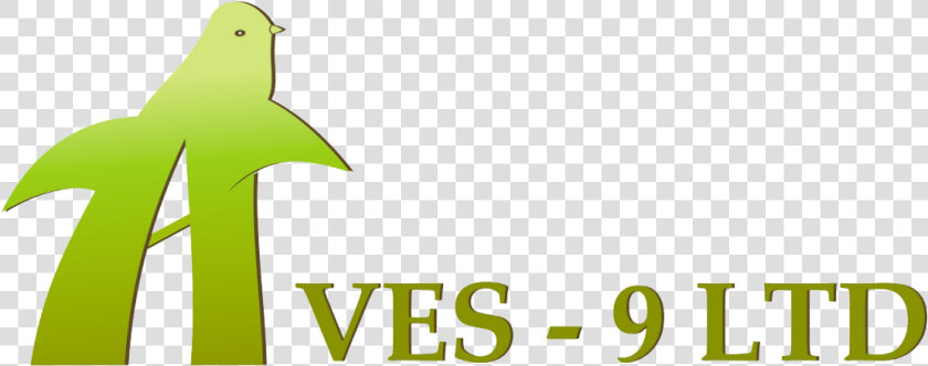 Transparent Aves Png  Png DownloadTransparent PNG