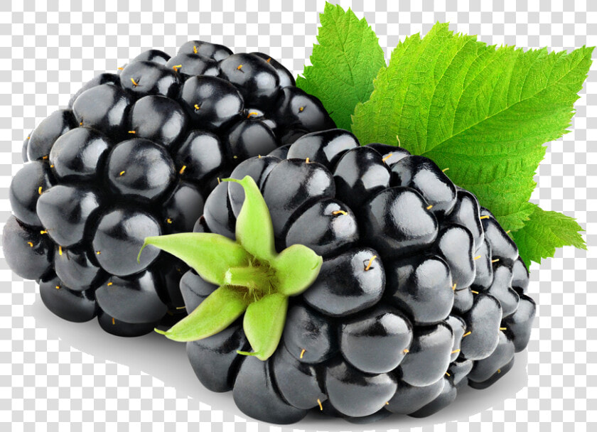 Download Blackberry Fruit Png Hd   Blackberry Fruit Png  Transparent PngTransparent PNG