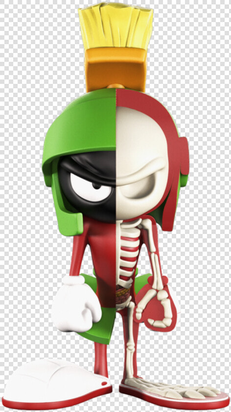 Marvin The Martian   Xxray Looney Tunes  HD Png DownloadTransparent PNG