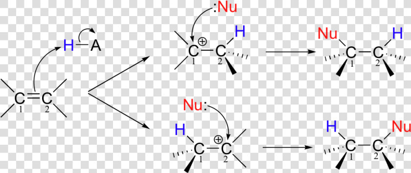 Image052   Electrophilic Addition Alkene To Alcohol  HD Png DownloadTransparent PNG