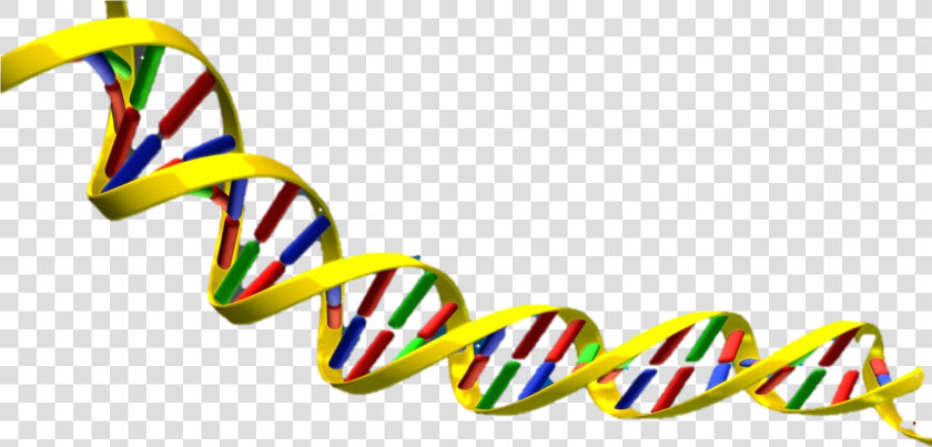 Science Clipart Dna   Dna Double Helix Transparent  HD Png DownloadTransparent PNG