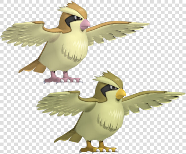 Pokemon Pidgey 3d Model  HD Png DownloadTransparent PNG