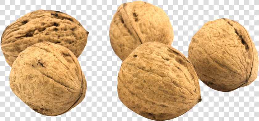 Walnut   2 Walnuts Png  Transparent PngTransparent PNG