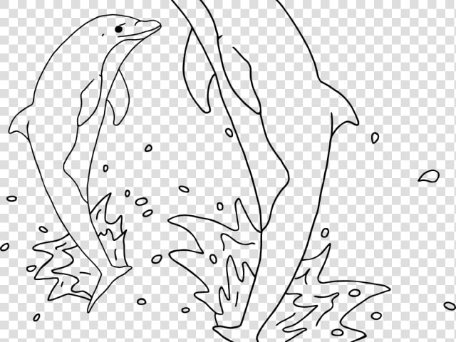 Transparent Dolphin Jumping Png   Dolphin  Png DownloadTransparent PNG