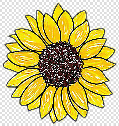  girasol   Easy Drawings Of Sunflowers  HD Png DownloadTransparent PNG