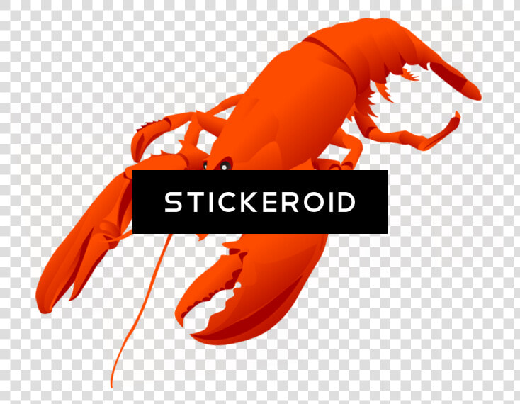 Lobster Vector   Png Download   Cartoon Transparent Background Lobster  Png DownloadTransparent PNG