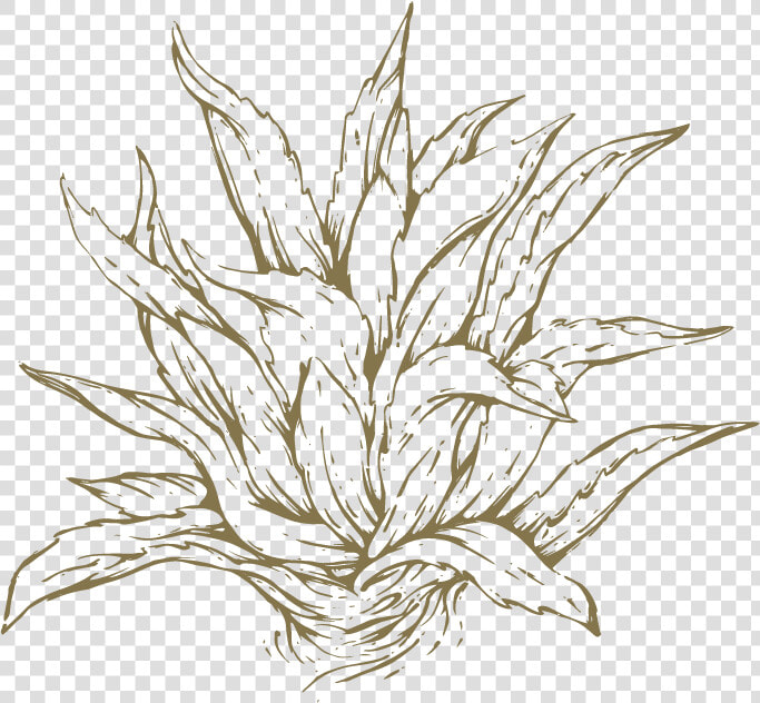 Transparent Lips Drawing Png   Drawing  Png DownloadTransparent PNG