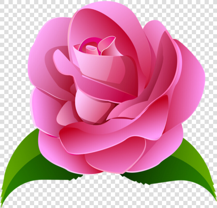 Clip Art Flores Cor De Imagens   Flores Cor De Rosa Png  Transparent PngTransparent PNG