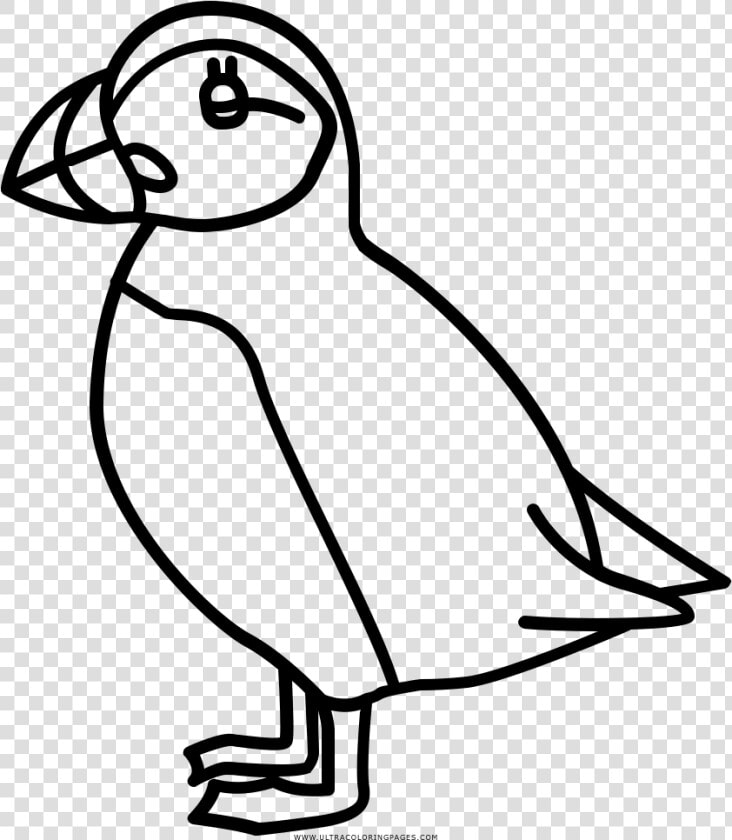 Puffin Coloring Page Puffin Black And White   Puffin Black And White  HD Png DownloadTransparent PNG