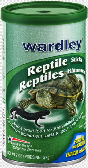 Reptile  HD Png DownloadTransparent PNG