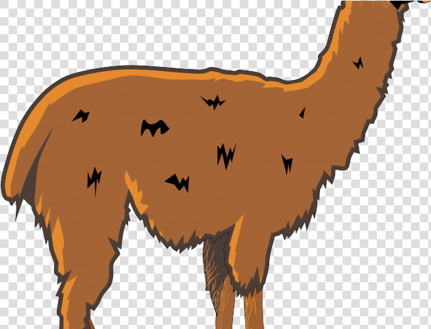 Alpaca Clipart Png  Transparent PngTransparent PNG
