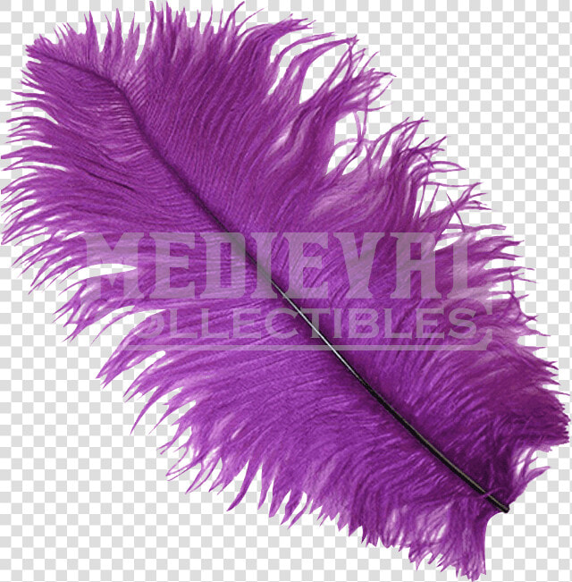 Drawing Feather Ostrich   Transparent Purple Feather  HD Png DownloadTransparent PNG