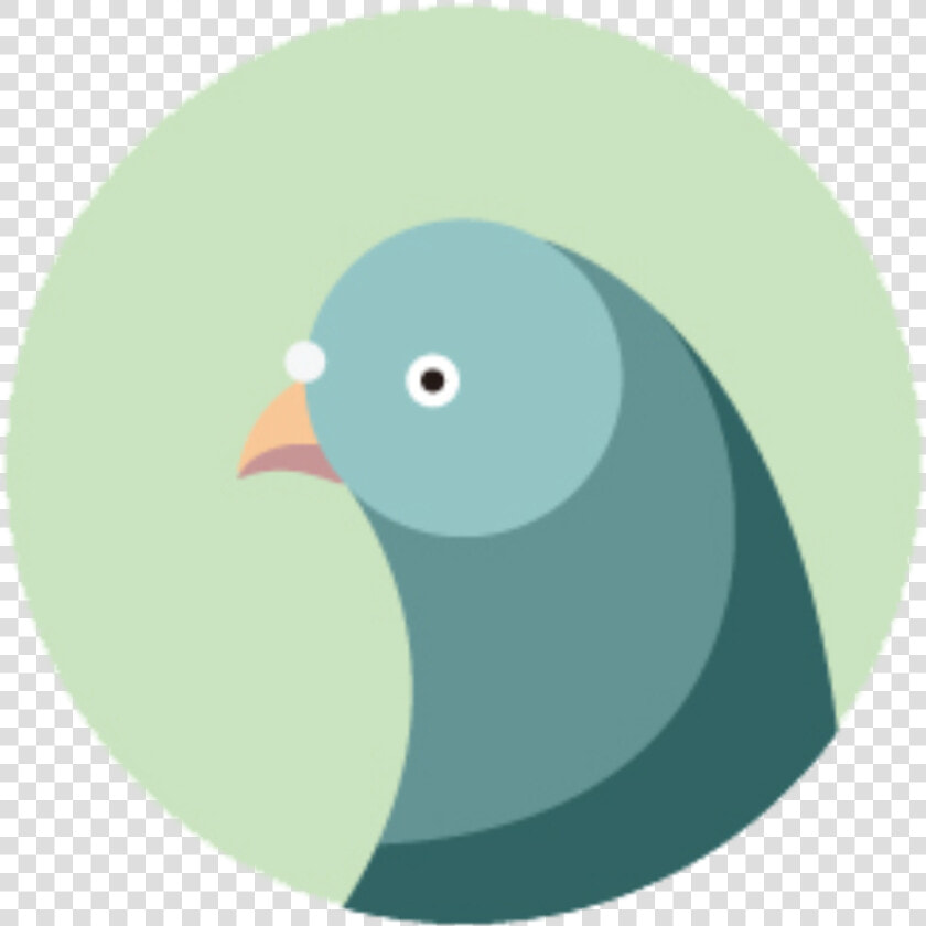 Partnering With Pigeons To Fight Pollution   Cartoon  HD Png DownloadTransparent PNG