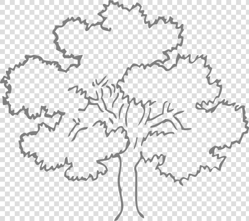 Oak  Tree  Grey  Outline  Nature  Ecology  Environment   Outline Pictures Of Tree  HD Png DownloadTransparent PNG