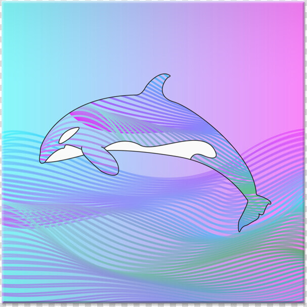 Azulejo O R C A De Mat Cvlcntna   Common Bottlenose Dolphin  HD Png DownloadTransparent PNG