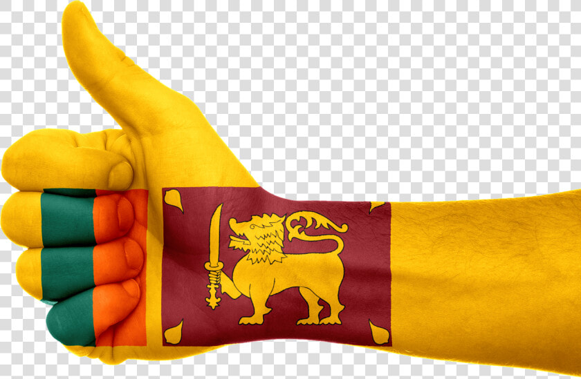 Sri Lanka Flag Images Free Download  HD Png DownloadTransparent PNG