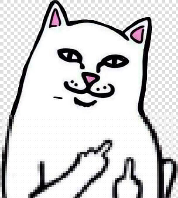  middlefinger  cat  cats  funnycat  meme  memes freetoedit   Cat Middle Finger Svg  HD Png DownloadTransparent PNG