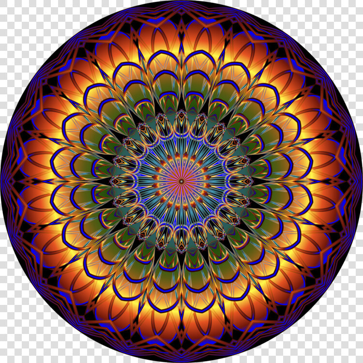 Flower symmetry spiral   Illustration  HD Png DownloadTransparent PNG