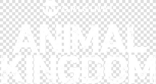 Tnt Logo Png  Transparent PngTransparent PNG